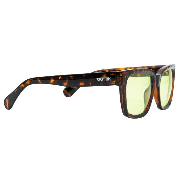Sunglasses sustainable